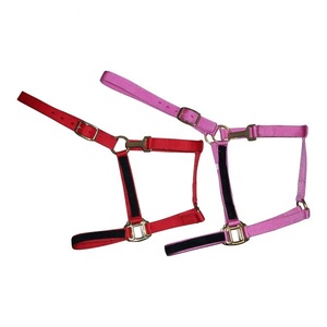 เชือกแขวนคอไนลอน PP เชือกแขวนคอม้าแบบประหยัดนุ่มเชือกแขวนคอม้าแบน - Product Image 1