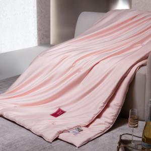 Grosir produk Obral musim panas set selimut nyaman 250gsm sutra duvet sisip Duvet duvet Duvet duvet tempat tidur selimut quilt - Product Image 3
