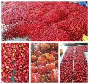 Four de <span class=keywords><strong>d</strong></span>éshydratation industriel à pompe à chaleur pour fruits secs Machine à sécher les aliments Chili Poisson Séchoir à citrouille Concombre de mer - Product Image 5