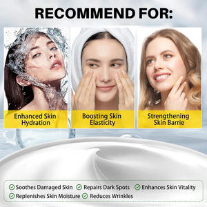 Fournisseur de produits de soin de la peau OEM, crème réparatrice au collagène d'escargot, hydratant, sérum nourrissant pour le visage à l'escargot - Product Image 6