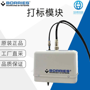 Módulo de Marcado Borries 317, Unidad Integrada, Máquina de Codificación con Sello de Acero - Product Image 5