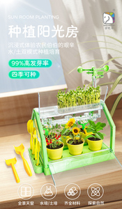 Stelo che coltiva il labirinto di piante giocattolo fai da te che piantano la stazione meteorologica della stanza del sole sperimenta esperimenti scientifici - Product Image 3