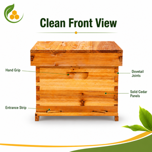 Colmena de Madera de Una Sola Capa con 10 Cuadros, Recubierta de Cera Antirrotura, Duradera, para Apicultura y Cría de Abejas - Product Image 5