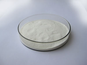 Suplemento para el Cuidado de la Salud Insen Supply, Polvo de Lactobacillus Bulgaricus - Product Image 3