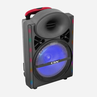 Speaker Trolley YE-12 12 Inch Isi Ulang Daya, Lampu LED RGB, Speaker Karaoke Pesta Dengan Dua Mikrofon Nirkabel Untuk Luar Ruangan