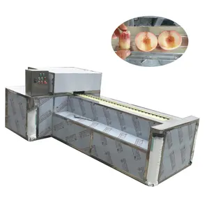 Easy Operation Fruit Plums Core Removing / Apricot Peach Pitting Machine
