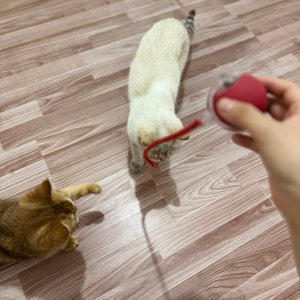2025 sıcak satış hareketli elektrikli kedi topları mutlu interaktif Speedy kuyruk kedi oyuncak top Pet interaktif hareket oyuncaklar - Product Image 6