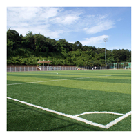 JS Ausrüstung Kunst gras Fußball teppich Boden 50mm Kunstrasen für Fußball Rasen im Freien