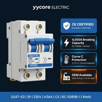 Interruptor Automático Miniatura Bipolar DZ47-63 2P, 6A-63A, 4.5kA, Curva C, IEC 60898-1, CE, 230V