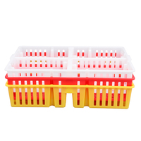 Boîte/caisse de transport de volaille premier choix, boîte à épais en plastique, 4 compartiments, lancer et empilables, pour volaille