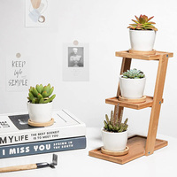 Dropshipping Pots pour succulentes Petits pots pour succulentes en céramique de 3.31 pouces avec drainage Jardinières pour succulentes blanches Pots de fleurs pour plantes