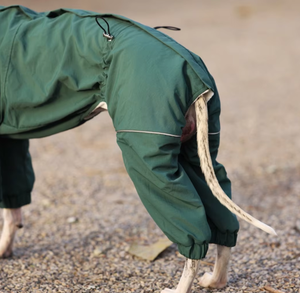 Abrigo de Invierno para Perros, Grueso, de Poliéster, Impermeable, Resistente al Viento y a la Nieve, para Whippets y Perros Terrier Pequeños - Product Image 4