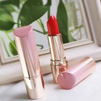 Rouge à lèvres Vagen, maquillage, rouge à lèvres mat imperméable, vente en gros, rouge à lèvres sans marque, avec étiquette privée personnalisée