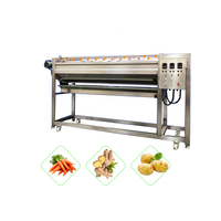Professionele KAYA Automatische 380V RVS Bloemlijn voor de productie van appel-, cassave-, plantain- en bananenchips.