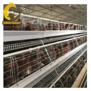 Jinmuren cages à volailles automatiques de couche équipement de cage de poulet de ferme avicole