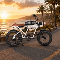 Vélo électrique 500W, pneus larges 20 pouces, 48V 15AH, moteur sans balais, facile à manier pour les trajets quotidiens et les week-ends décontractés