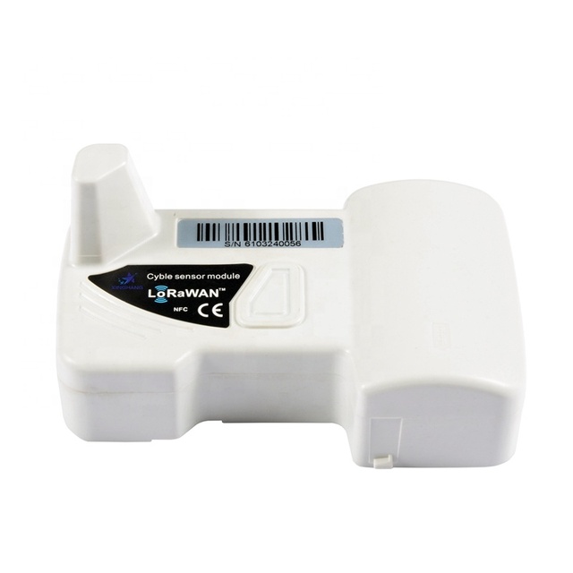 Module LoRaWAN ODM Provide - Wireless Lorawan Modular Water Meter