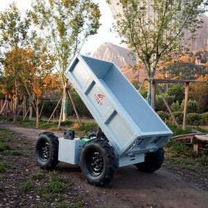Veicolo Agricolo 4x4 Fuoristrada con Telecomando per Trasporto Speciale e Scarico in Frutteti - Product Image 3