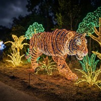 Decoración de Faroles para Parque de Atracciones de Animales, para Navidad, Uso en Interiores/Exteriores, Espectáculo de Luces para Parque Temático