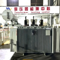 Transformateur immergé dans l'huile triphasé haute tension Hongwei 3kV-35kV 50/60Hz, bobinage cuivre/aluminium certifié IEC