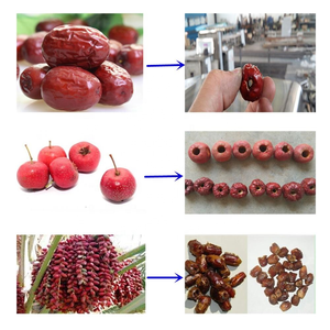 Extracteur de noyau de fruits, machine à piquage, pour la date, pour vente - Product Image 3
