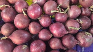 Oignons rouges de Chine de qualité supérieure, 100 % frais, cueillis à la main et aromatiques, pour la cuisine, disponibles à un <span class=keywords><strong>prix</strong></span> compétitif - Product Image 3