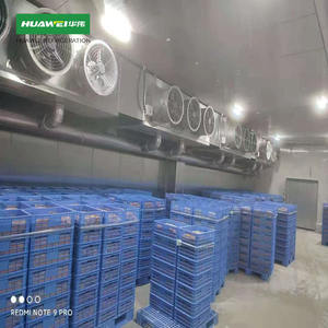 Chambre froide extérieure pour la conservation du poisson et de la viande, épaisseur 100/150 mm, chambre froide de stockage, chambre froide Dubaï - Product Image 4