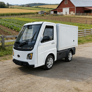 Nuevo Modelo Personalizable de Camioneta Eléctrica EEC para Carga, con Aire Acondicionado y Cámara de Reversa, para Logística y Distribución Urbana - Product Image 3