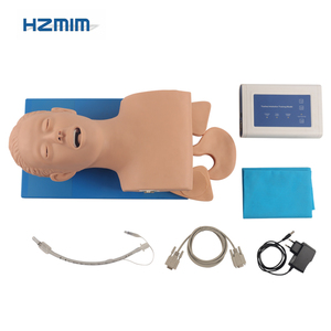 แบบจำลองการใส่ท่อช่วยหายใจผู้ใหญ่, หุ่นจำลองการใส่ท่อช่วยหายใจผู้ใหญ่ - Product Image 6