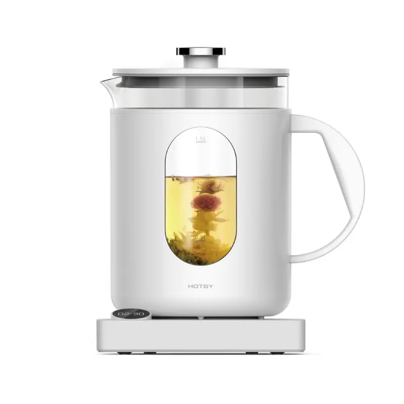 Baby Tea Maker Kettle Vietnam Health Pot Mini Heating Electric 2021 Custom Kettles Glass Water Jug Teapot Heater Warmer Flask