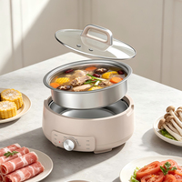 Marmite de cuisson électrique en acier inoxydable de 4 L pour cuisine, vente en gros OEM