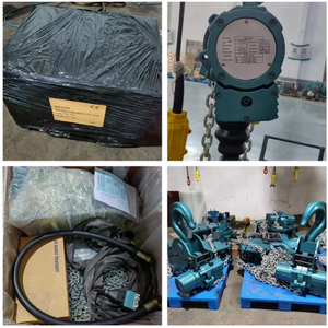 Kualitas tinggi kecil pneumatik rantai mesin <span class=keywords><strong>Hoist</strong></span> troli bukti ledakan untuk kondisi kerja baru cocok untuk pertambangan - Product Image 4
