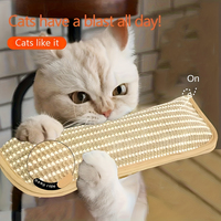 Coussin de jeu et griffoir pour chat pour le jeu individuel et l'interaction intime, pour garder votre ami félin heureux et apaisé