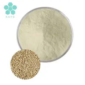 Iso-Certificering Quinoa-Extract 90% Quinoa-Eiwitpoeder