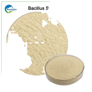 Lợn thức ăn phụ gia <span class=keywords><strong>bacillus</strong></span> <span class=keywords><strong>subtilis</strong></span> Probiotics với nồng độ cao của 10/200/300 tỷ CFU/G chăn nuôi thức ăn phụ gia - Product Image 2