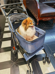 Poussette pour chiens et chats, poussette style ours en peluche pour les sorties, légère et pliable, détachable, pour petits et moyens animaux - Product Image 4