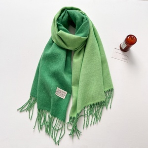 Nuova Sciarpa Lunga in Poliestere Effetto Cashmere a Doppia Faccia, Calda e Spessa per Donna, Autunno Inverno, Sensazione Premium, Tinta Unita, Versatile - Product Image 3
