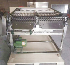 เครื่องปอกถั่วเขียวไฟฟ้าเครื่องปลอกเปลือกถั่ว Edamame เครื่องสเตนเลสความจุสูงถอดถั่วอุตสาหกรรม - Product Image 3