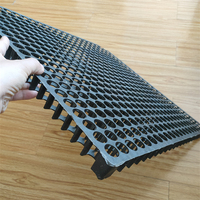 Tapis de drainage en PP 2 m HDPE, plante artificielle de 30mm, bâche de drainage, toit de jardin, géo, prix