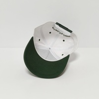 Sombreros clásicos personalizados con ala bordada en 3D para hombre, gorra de béisbol verde bordada con logotipo