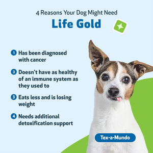 ผงเห็ดสำหรับสุนัขและแมวฟังก์ชั่น6-in-1ผสานการทำงานเพื่อสร้างภูมิคุ้มกันการย่อยอาหารสุขภาพตับและหัวใจอาหารเสริมสมุนไพร150กรัม - Product Image 3