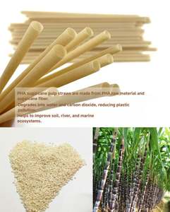 หลอดดูดน้ำทำจากเส้นใยอ้อยย่อยสลายได้ สำหรับเครื่องดื่มในงานปาร์ตี้ ชานมไข่มุก กาแฟ หลอดจากชานอ้อย - Product Image 6