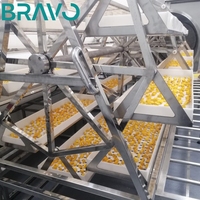 Machine de séchage sous vide à micro-ondes à basse température industrielle pour les fleurs de chanvre, les fruits d'avocat, les aliments pour animaux de compagnie