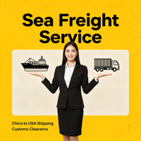 Transitaires Maritimes Efficaces Top 10 : Fret Port-à-Port DDP LCL+Express 15-25 Jours, Assurance Incluse, Chine-USA pour Entreprises Importatrices