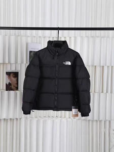2025 Yeni Gelen Siyah North Puffer Erkek North-Face Şişme Montlar Kışlık Şişme Erkek Montları - Product Image 3