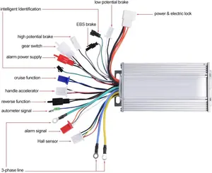 Custom Elektrische Fiets Onderdelen Motorfiets Controles Motor 48V Controllers Voor Elektrische Regelklep