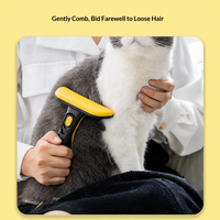 Peigne et grattoir en plastique ABS pour enlever les poils d'animaux, outil de toilettage efficace pour les poils de chien et de chat, pour la perte de poils chez les animaux