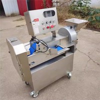 Fruit- en groentesnijmachine Commerciële groentesnijder Automatische snijmachine met grote capaciteit voor het snijden van blokjes en het versnipperen
