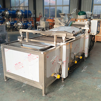 Équipement de Blanchiment Industriel Automatique : Machine à Blanchir Continue pour Choux, Feuilles, Maïs, Champignons, Légumes et Pommes de Terre