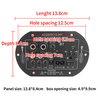Amplificateur de voiture SF10 personnalisé pour subwoofer de 8 à 10 pouces de classe D avec microphone karaoké